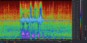 Image of a sound-waveform including its sprectrum